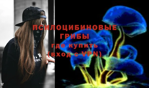 a pvp Абдулино